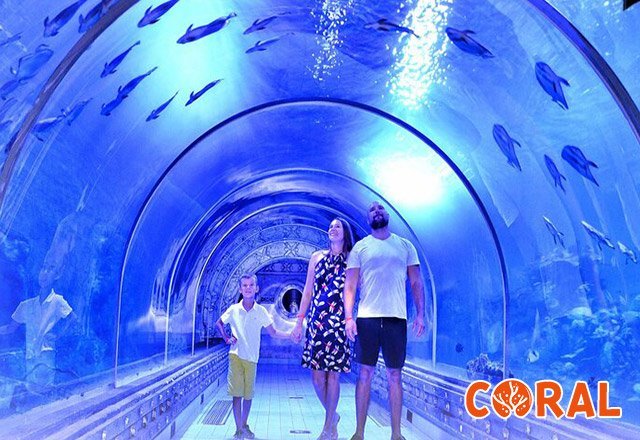 aquarium-hurghada-1.jpg