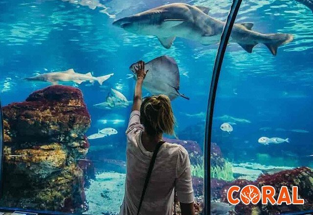 aquarium-hurghada-2.jpg