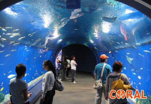 aquarium-hurghada-3.jpg