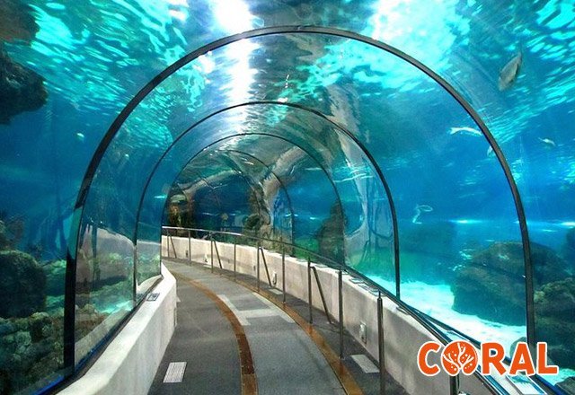 aquarium-hurghada-6.jpg