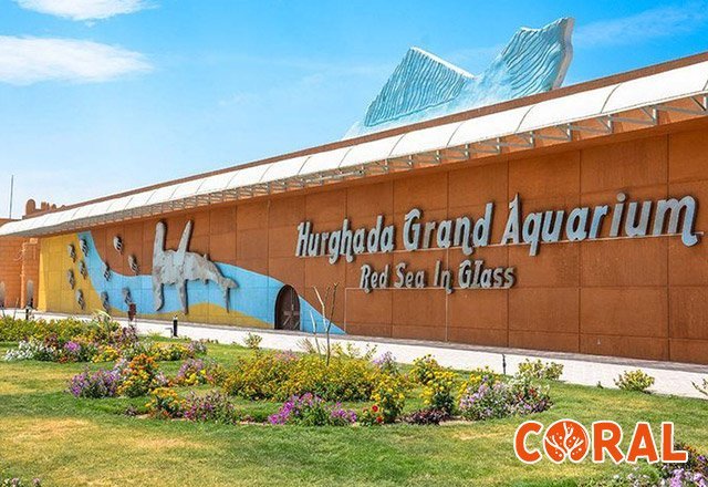 aquarium-hurghada-7.jpg