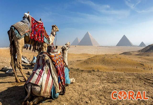 cairo-from-hurghada-1.jpg