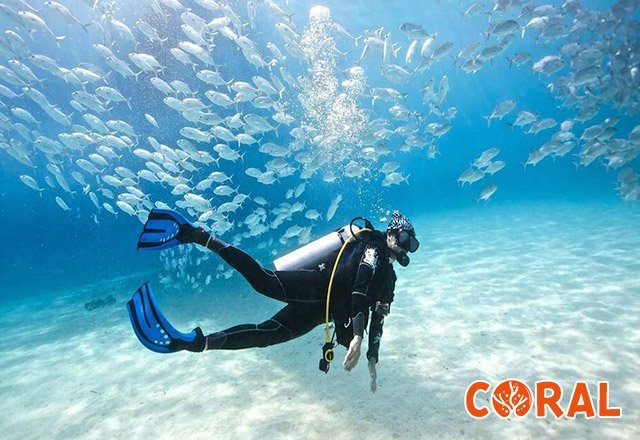 diving-in-hurghada-1.jpg