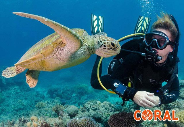 diving-in-hurghada-2.jpg