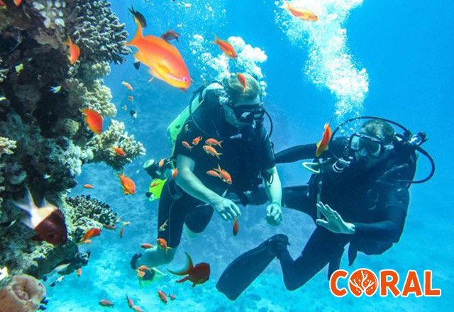 diving-in-hurghada-4.jpg