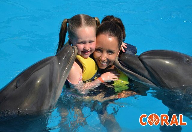 dophin-show-in-hurghada-4.jpg